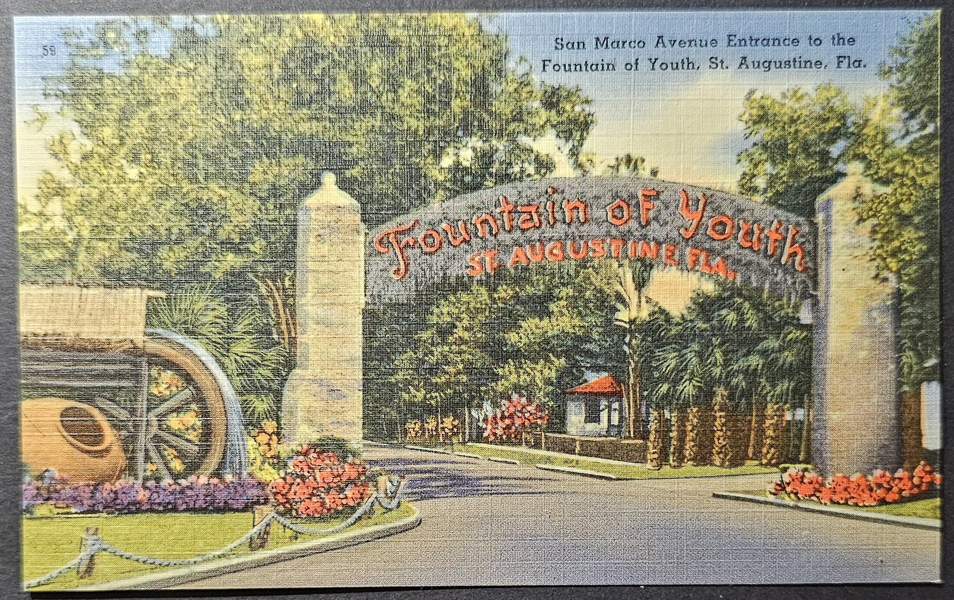 (image for) postcard USA - FL - Florida #0051